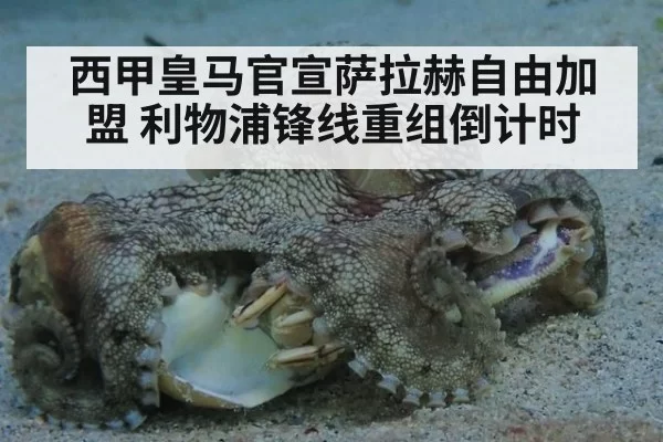 西甲皇马官宣萨拉赫自由加盟 利物浦锋线重组倒计时